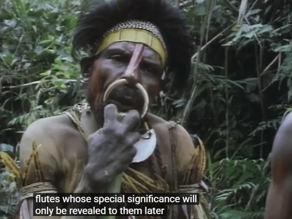 Un Papou en coiffe traditionnelle souffle dans une flûte de bambou. Légende: la signification spéciale des flûtes leur sera seulement révélée plus tard.