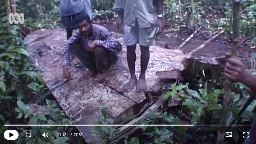 Une équipe papoue retrouve la carcasse de l'avion de Warren Cowan écrasée dans la jungle.