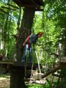 Paul dans les arbres